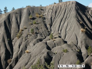 Marly gullies in Draix (photo N. Mathys)